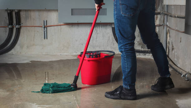 Best Flood restoration services  in Staten Island, NY