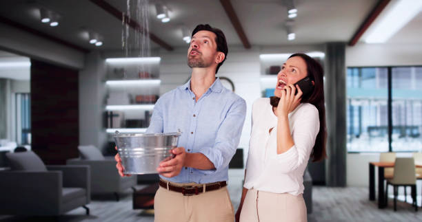 Best Water damage contractors near me  in Staten Island, NY